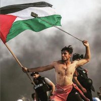 Abu Hamza (@adamak33274703) 's Twitter Profile