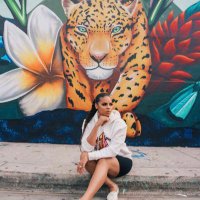 Dominique (@dominiquesense) 's Twitter Profile