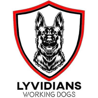 Lyvidianskennel@outlook.com 
07805918701 (please message first before phoning)