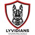 LyvidiansWorkingDogs (@lyvidians) Twitter profile photo