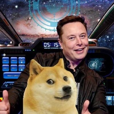 Doge isn't just a currency, it's a community. This is your source for $DOGE news. Follow to keep up with Dogecoin!
(News source, not financial advisor)