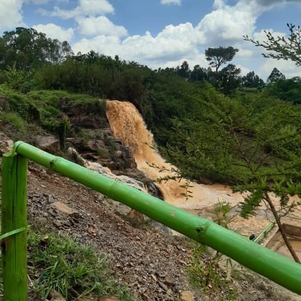 wycliffendekwe's profile picture. 