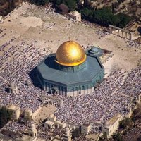 زعيم الصعايده (@ahmedjamd1986) Twitter profile photo