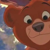 koda the bear (@kodathebear_rp) 's Twitter Profile