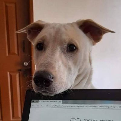 sun_ilma_no's profile picture. 