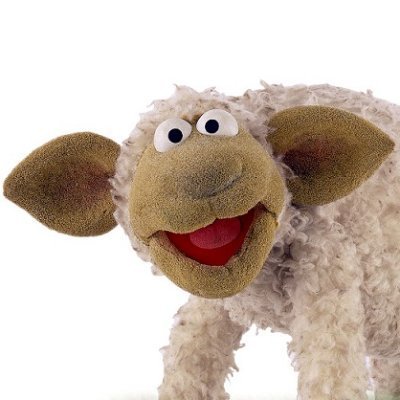 DocSheep_ Profile Picture