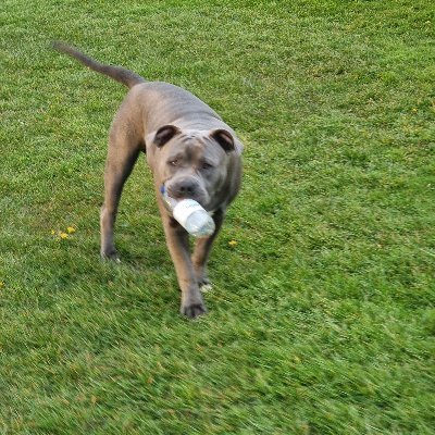 ChrisWaugh15's profile picture. 