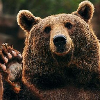 Hendriknhsn's profile picture. 