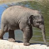 f191e9943f8e403's profile picture. 