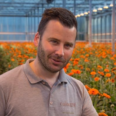 ruudbatist's profile picture. gerbera kweker in de maasdijk!