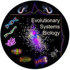 We're all at the forefront of evolution - we're it!