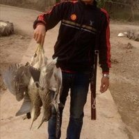 Hensley Marc ❤️ Memecoin (@hensleymarc) 's Twitter Profile