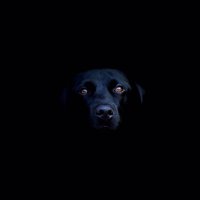 touch (@o_kilo_byte) 's Twitter Profile