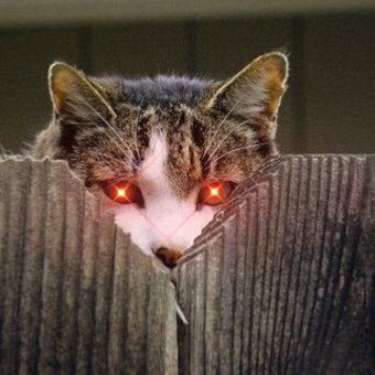 ThamtenThelow's profile picture. 