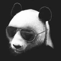 Gavs (@gavsius) 's Twitter Profile