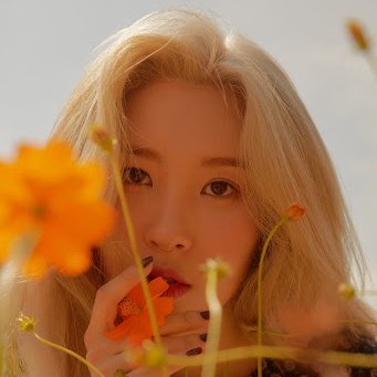parody of sunmi.