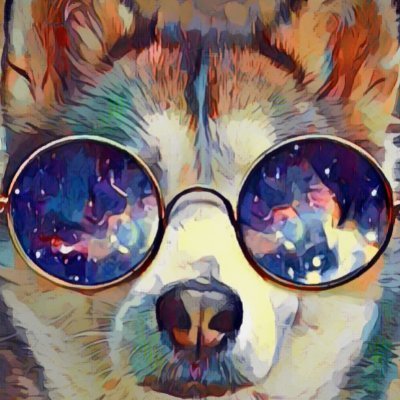 I made this acct because I am a #CryptoAddict :: $bitcoin, $Altcoins, $Memecoins OH MY ....To The Moon 🌝 🚀 $Doge $Husky $Shiba $Kishu $XRP $Matic $Tel