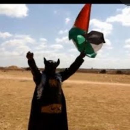 Batman65365881's profile picture. Born a peasant now a prince trying to be a mf king.