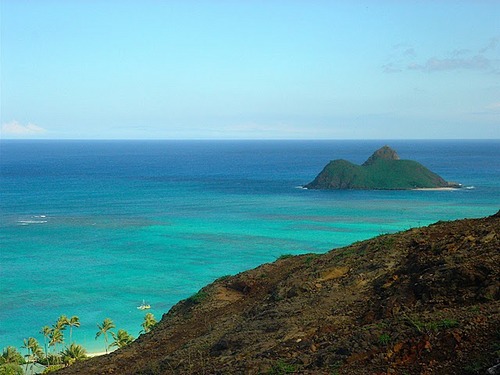 LetsFunkThat's profile picture. A music lover living in Capitol Hill, Seattle, dreaming of the funkiest musical genres that I wish existed.