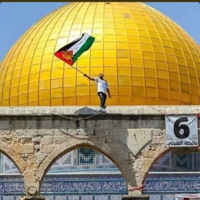 Mohe66306294's profile picture. 