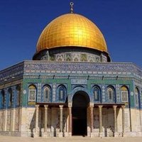 Mohamed Sabry (@mohamed03662384) 's Twitter Profile