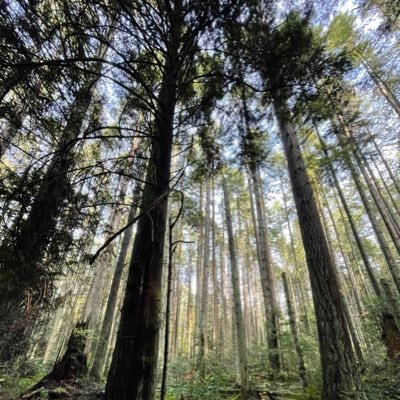 wanderingmouth's profile picture. Itemized list of things that define me as a person, including my genetic and societal relationships with other humans and possibly animals.