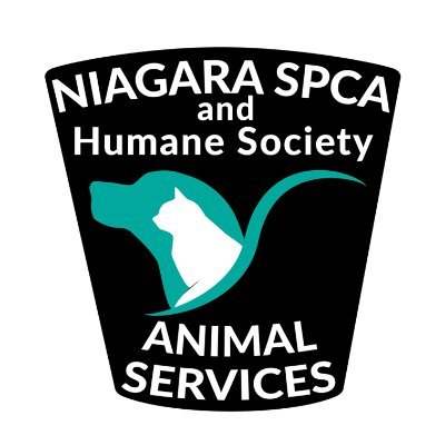 Providing Animal Services to Niagara Falls, Welland, Port Colborne, Wainfleet, West Lincoln, Lincoln, Pelham and Haldimand County