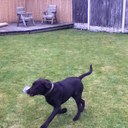 Jayne Glover - @1970jayneglover - Twitter