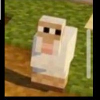 emotional_hairbrush (@robinsfreakzone) 's Twitter Profile