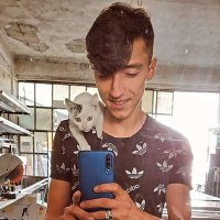 a.f.eroll (@eroll_f) Twitter profile photo