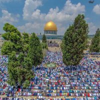 Aisenur BDK 🇹🇷🇵🇸 (@_aisenur_) 's Twitter Profile