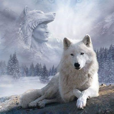 I am commissioned by my great-grandmother to carry her message to the people it is the will of the great spirit on Earth which is our clan mothers and the women