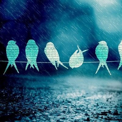 Fre_Gre_Dre_690's profile picture. 