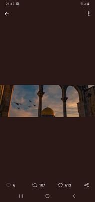 AmalSalehamal's profile picture. 