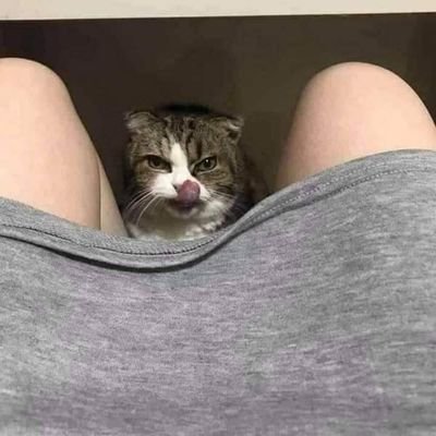 shedszxc's profile picture. 