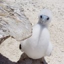 Brian Forrester - @BrianForrester7 - Twitter