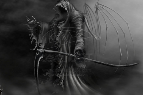 dousa666's profile picture. amarillo hasta la muerte