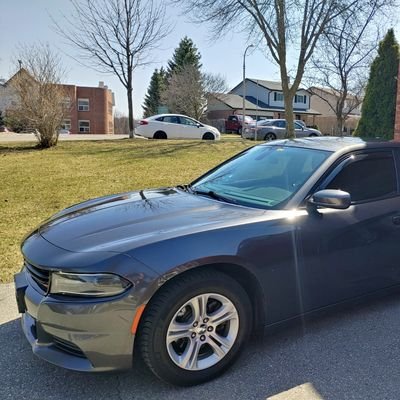 paullav94849622's profile picture. dad and husband