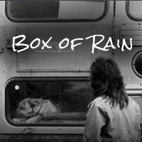 Box of Rain Film(@BoxofRainFilm) 's Twitter Profile Photo