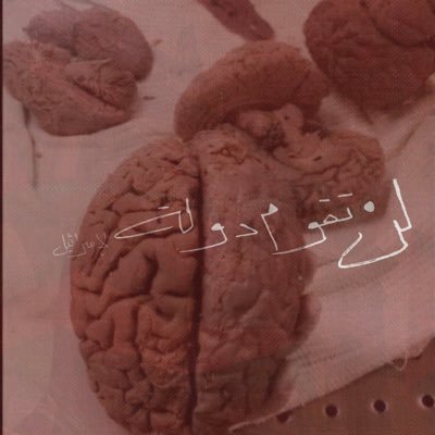 هبه الشملان | مُهتمة بالعلوم و الذكاء الاصطناعي. polumathēs