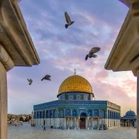 Gullerinefendisinevurgun🇵🇸 (@buglemrakiye) 's Twitter Profile