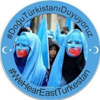 Middle East (@emddle) Twitter profile photo