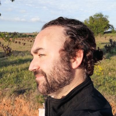 Profesor de Inglés como Primera Lengua Extranjera en la enseñanza pública madrileña.