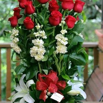 ZChimdessa's profile picture. happy time for you