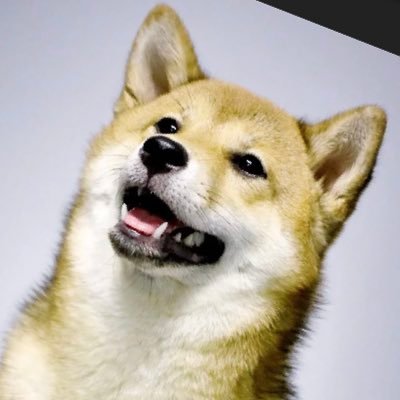 Daily updates about Shiba Inu crypto currency and other info about Shiba.