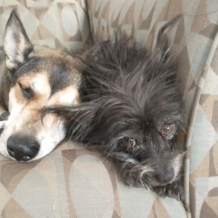 James75521005's profile picture. not woke yet! sleeping through nonsense.