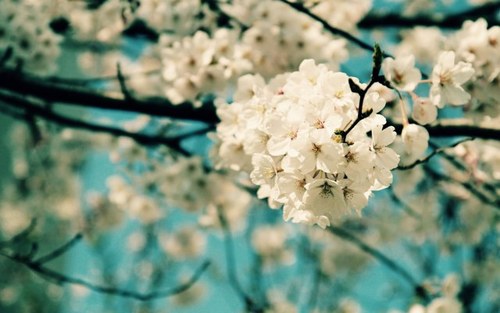 Deepsleep_Y's profile picture. 