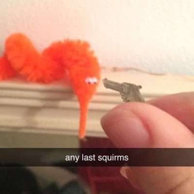 lizzoschmizzo's profile picture. she/they 🇺🇸 + sie/ihr 🇩🇪 | LG🅱️T in STEM🏳️‍🌈 | ♎️ | i fre*king love science 🧬