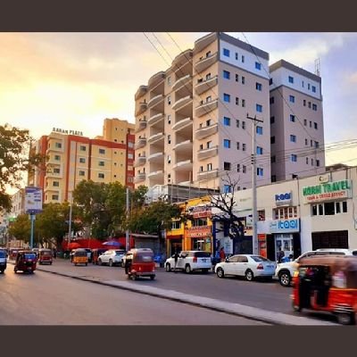 Hylm29120354's profile picture. 