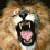 f24fanelvan Profile Picture